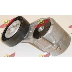 Acquista Braccio tenditore, Cinghia Poly-V da AUTOKIT 03.539 a buon mercato per soli 121,38 €
