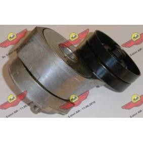 Achetez des Galet tendeur de courroie d'accessoire AUTOKIT 03.80250 à prix pour 224,04 €