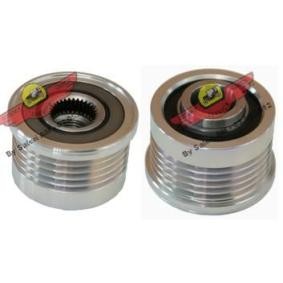 Achetez des Poulie roue libre, alternateur AUTOKIT 03.80403 à prix pour 86,77 €