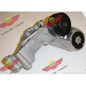 Acquista Braccio tenditore, Cinghia Poly-V da AUTOKIT 03.80471 a buon mercato per soli 153,53 €