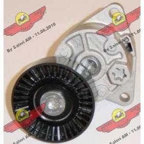 Compre Tensor, correia trapezoidal estriada da AUTOKIT 03.80489 a um preço baixo por 176,40 €