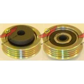 Comprar Polea inversión / guía, correa poli V de AUTOKIT 03.80779 a bajo precio de 104,24 €