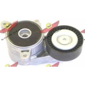 Achetez des Galet tendeur de courroie d'accessoire AUTOKIT 03.81124 à prix pour 109,06 €