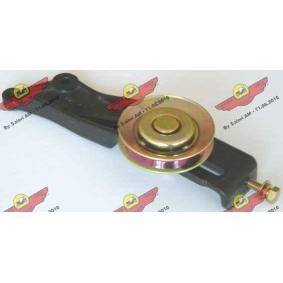 Compre Tensor, correia trapezoidal estriada da AUTOKIT 03.81202 a um preço baixo por 796,90 €