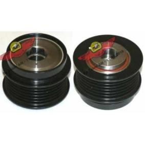 Achetez des Poulie roue libre, alternateur AUTOKIT 03.81261 à prix pour 144,43 €