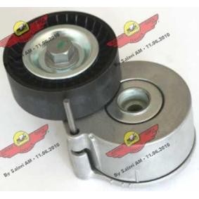 Compre Tensor, correia trapezoidal estriada da AUTOKIT 03.81331 a um preço baixo por 147,46 €