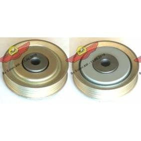 Compre Polia de desvio / de guia, correia trapezoidal estriada da AUTOKIT 03.81365 a um preço baixo por 140,18 €