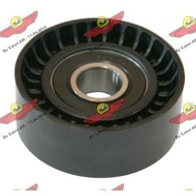 Compre Polia de desvio / de guia, correia trapezoidal estriada da AUTOKIT 03.81567 a um preço baixo por 117,10 €
