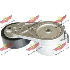 Acquista Braccio tenditore, Cinghia Poly-V da AUTOKIT 03.81607 a buon mercato per soli 90,59 €