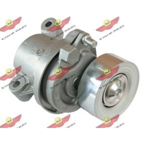 Achetez des Galet tendeur de courroie d'accessoire AUTOKIT 03.81743 à prix pour 137,84 €