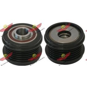 Achetez des Poulie roue libre, alternateur AUTOKIT 03.81884 à prix pour 132,49 €