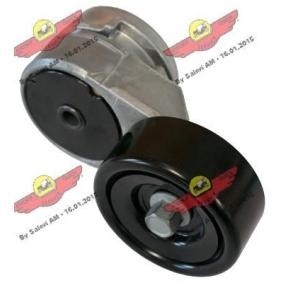 Compre Tensor, correia trapezoidal estriada da AUTOKIT 03.81891 a um preço baixo por 238,98 €