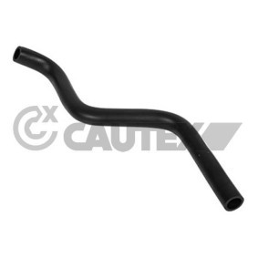 Achetez des Tuyau d'huile CAUTEX 036731 à prix pour 24,05 €