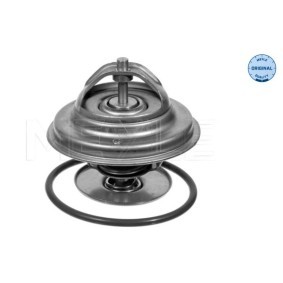 Comprar Cilindro maestro, embrague de MEYLE 037 142 0005 a bajo precio de 57,25 €