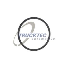 Comprar Junta, termostato de TRUCKTEC AUTOMOTIVE 05.19.080 a bajo precio de 1,88 €