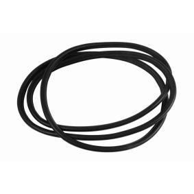 Acquista Guarnizione, Cristallo portiera da VAICO V20-1202 a buon mercato per soli 48,08 €