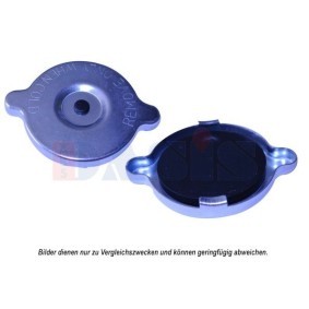 Achetez des Radiateur du moteur AKS DASIS 080035N à prix pour 299,26 €