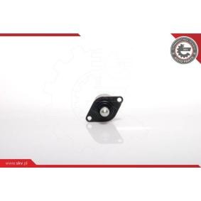 Acquista Regolatore minimo da ESEN SKV 08SKV025 a buon mercato per soli 12,42 €