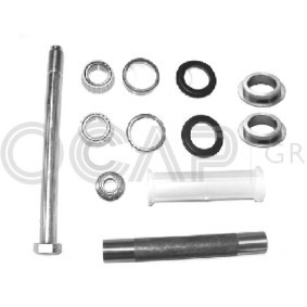 Compre Jogo de braços oscilantes, suspensão de rodas da OCAP 0901911 a um preço baixo por 28,85 €