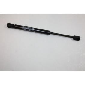 Heckklappendämpfer von AUTOMEGA 100017610
