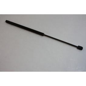 Heckklappendämpfer von AUTOMEGA 100017710
