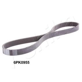 Achetez des Courroie Poly-V ASHIKA 112-6PK955 à prix pour 13,48 €