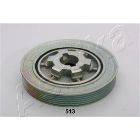 Achetez des Poulie damper (vilebrequin) ASHIKA 122-05-513 à prix pour 62,07 €