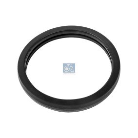 Dichtung, Thermostat 13.42090 MG von DT Spare Parts