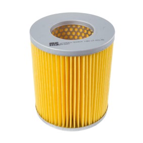 Compre Filtro de ar da MASTER-SPORT 1381-LF-PCS-MS a um preço baixo por 13,01 €