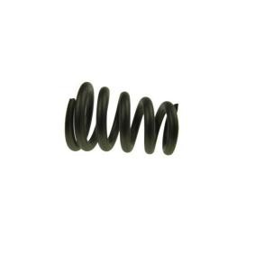 Compre Mola, tubo de escape da AUTOMEGA 140025110 a um preço baixo por 2,19 €