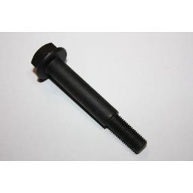 Compre Parafuso, sistema de escape da AUTOMEGA 140033410 a um preço baixo por 2,07 €