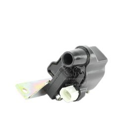 Achetez des Bobine d'allumage EFI AUTOMOTIVE 155154 à prix pour 176,32 €