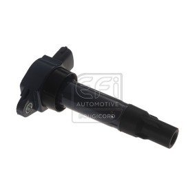 Acquista Bobina d'accensione da EFI AUTOMOTIVE 155380 a buon mercato per soli 213,92 €