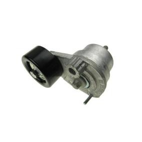Compre Tensor, correia trapezoidal estriada da AUTOMEGA 160094210 a um preço baixo por 32,68 €