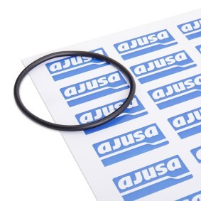 Ansaugkrümmerdichtung 16057900 CITROËN C2 von AJUSA