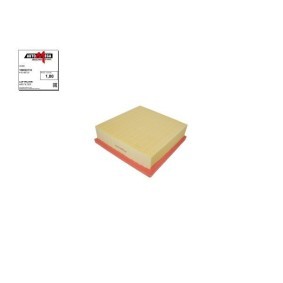 Luftfilter von AUTOMEGA 180022110