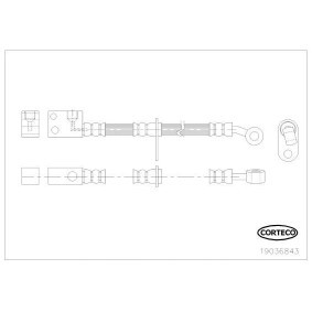 Comprar Latiguillo de freno de CORTECO 19036843 a bajo precio de 32,68 €