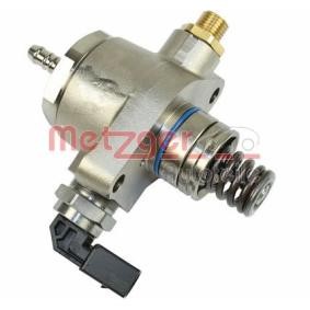 Acquista Pompa ad alta pressione da METZGER 2250225 a buon mercato per soli 370,65 €