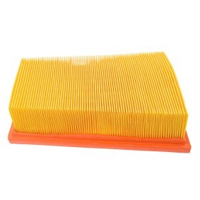 Compre Filtro de ar da MASTER-SPORT 2433/2-LF-PCS-MS a um preço baixo por 8,71 €