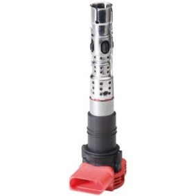 Zündspule 5DA 749 475-701 für AUDI