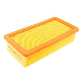 Compre Filtro de ar da MASTER-SPORT 2571/1-LF-PCS-MS a um preço baixo por 6,42 €