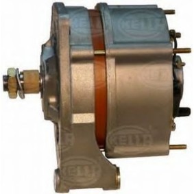Lichtmaschine 8EL 725 744-001 für STEYR