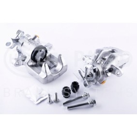 RENAULT Wasserpumpe von HELLA
