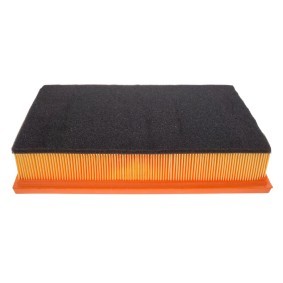 Kjøp Luftfilter av MASTER-SPORT 30189/1-LF-PCS-MS til den lave prisen 146,03 NOK