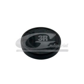 Compre Braço de suspensão da 3RG 31747 a um preço baixo por 58,33 €