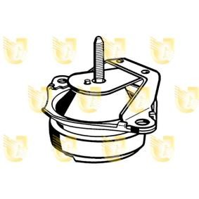 Acquista Supporto motore da UNIGOM 395273 a buon mercato per soli 259,30 €