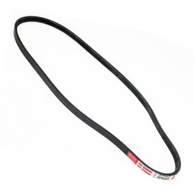 Achetez des Courroie Poly-V MASTER-SPORT 3PK925-PCS-MS à prix pour 4,83 €
