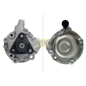 Acquista Pompa idraulica, sterzo da LuK 541 0131 10 a buon mercato per soli 245,16 €