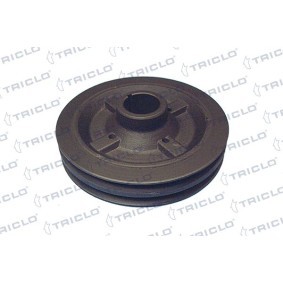 Achetez des Poulie damper (vilebrequin) TRICLO 426014 à prix pour 58,46 €