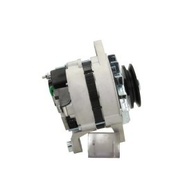 JAGUAR Lichtmaschine von BV PSH